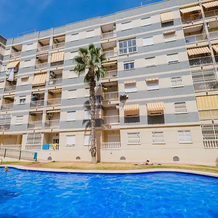 Alegria Id 116 Torrevieja