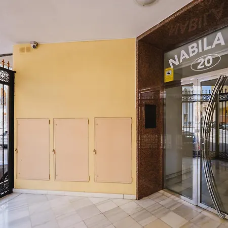 Alegria Id 116 Torrevieja