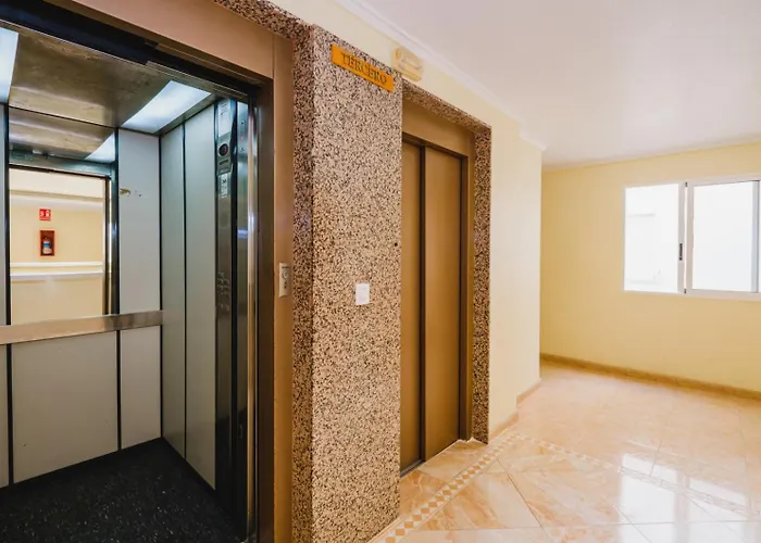 Alegria Id 116 * تورّيفيِخا